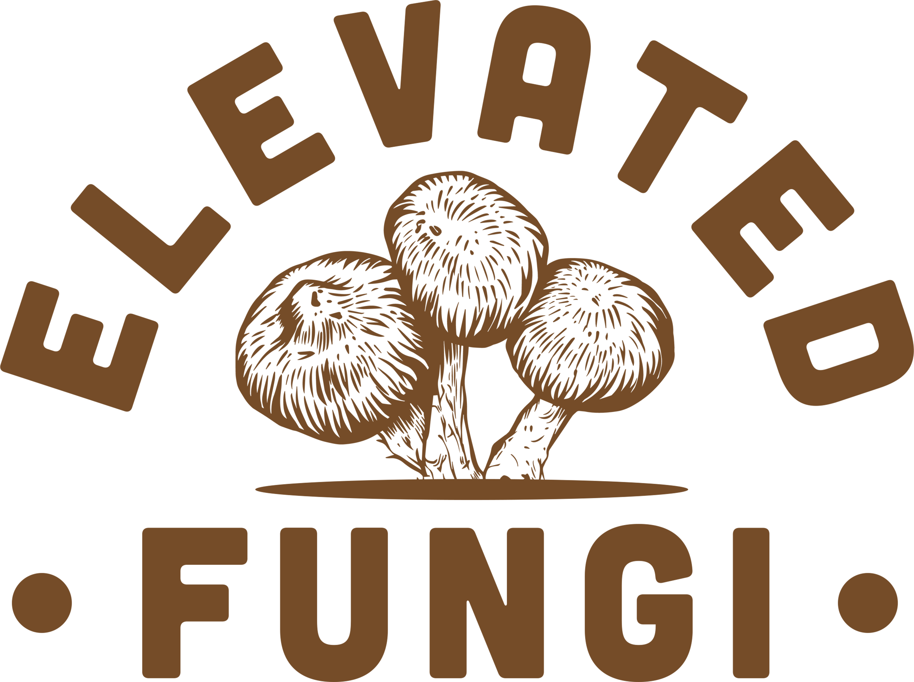 elevatedfungi logo